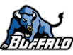 Buffalo Bulls